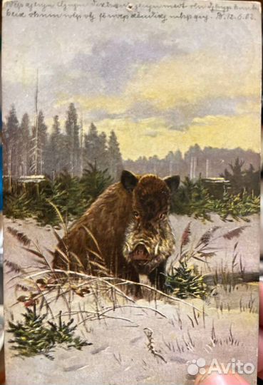 Открытка немецкая и две пластинки