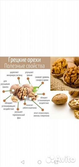 Грецкий орех