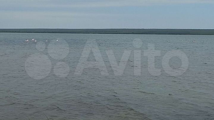 Участок 3 га (СНТ, ДНП)