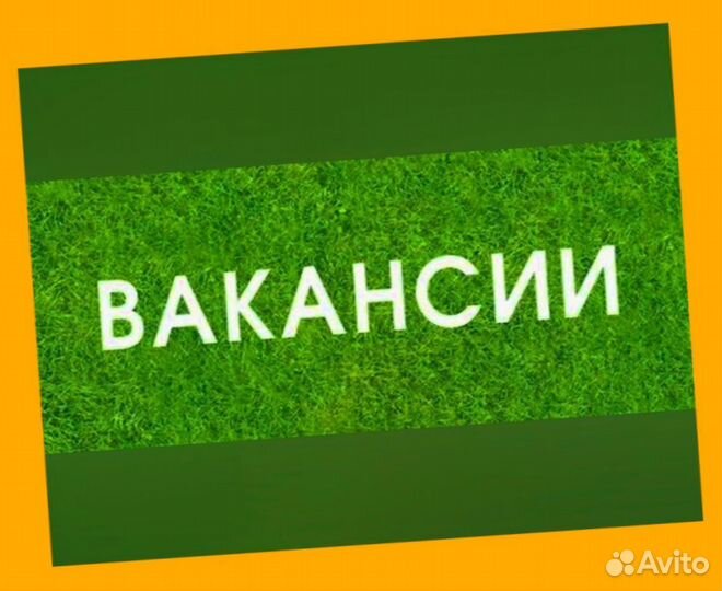 Сборщик заказов Выплаты еженедельно Без опыта М/Ж