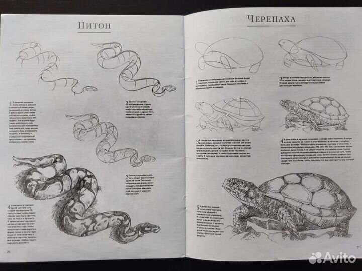 Книга рисуем шаг за шагом Миа Тавонатти