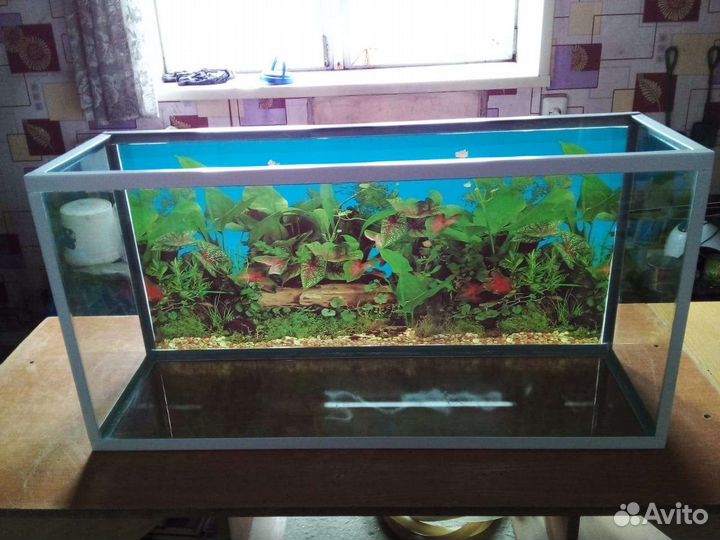 Аквариумы 120, 100 и 70 л
