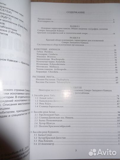 Поиск ископаемых