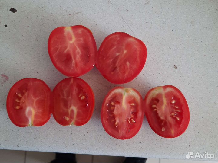 Помидоры