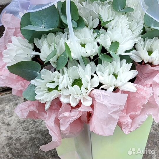 Цветы в плайм-пакете 222 (вн)