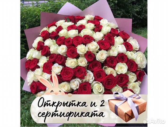 Розы цветы букеты с доставкой 101 51 31 роза