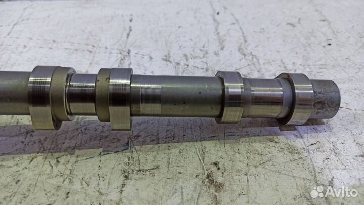 Распредвал впускной A6420502801