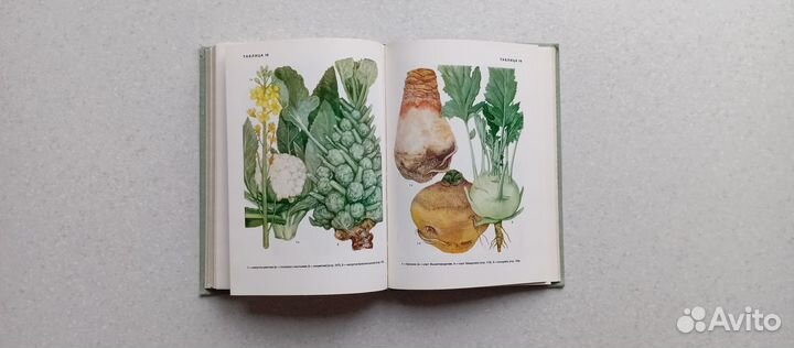 Культурные растения СССР. 1978 (в.вехов)