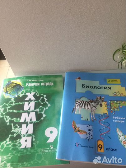 Учебники и рабочие тетради