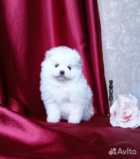 Супер девочка мини