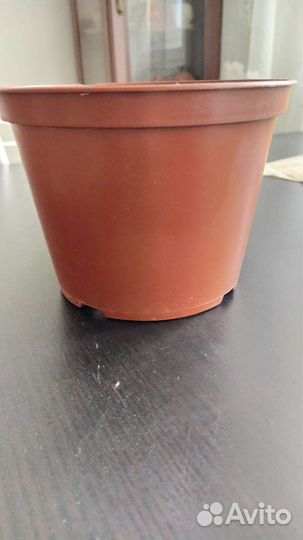 Горшки под фиалки пластик