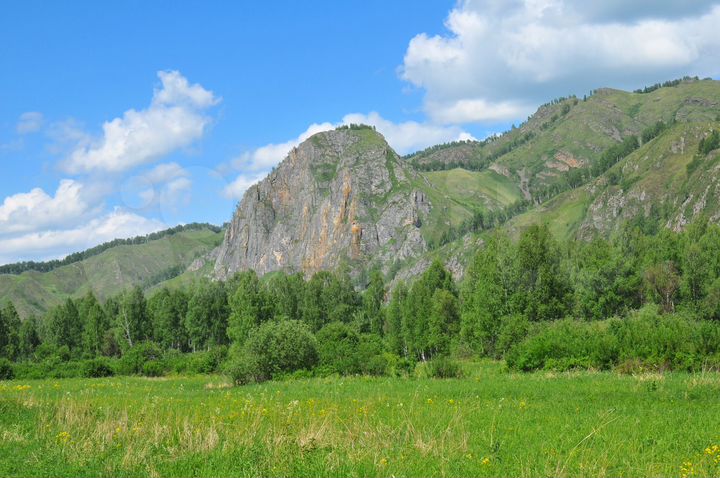 Участок 10 сот. (СНТ, ДНП)