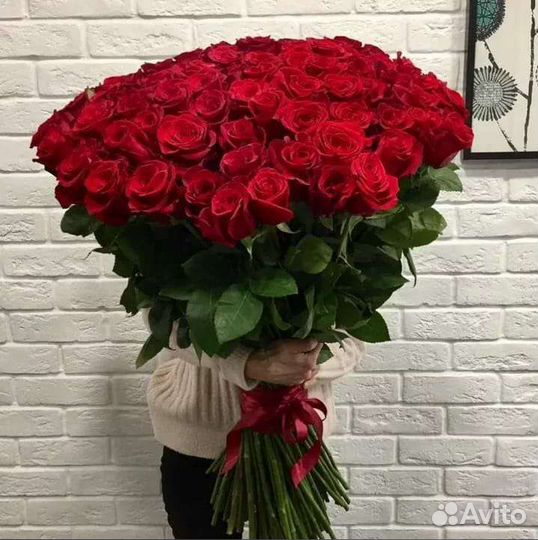Роза тепличная от производителя