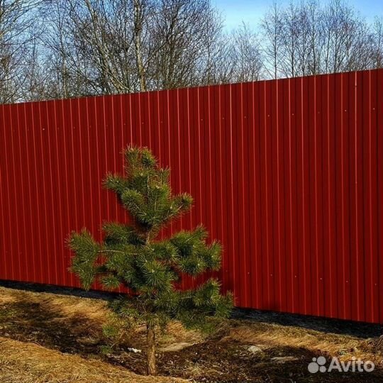 Забор из профнастила