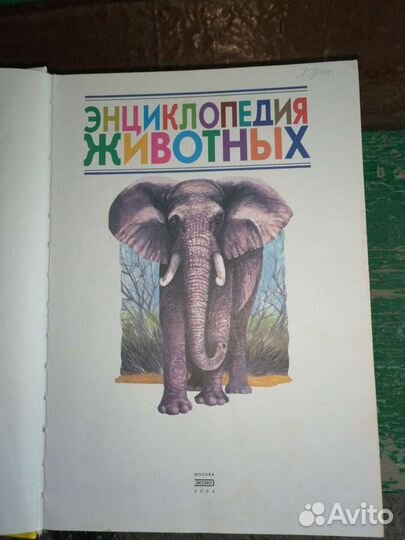 Энциклопедия для детей