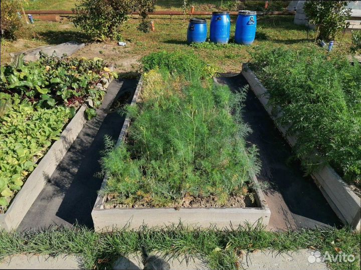 Транспортерная, конвейерная лента