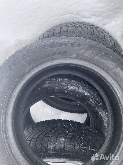 Pirelli Ice Zero FR 175/65 R14 82T