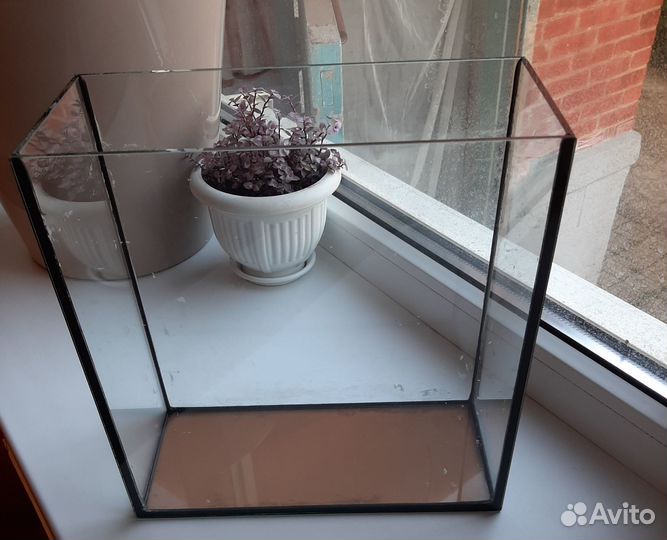 Аквариум 10 литров