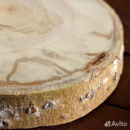 Спил осины для декора для творчества