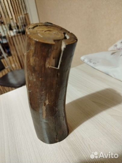Бивень мамонта