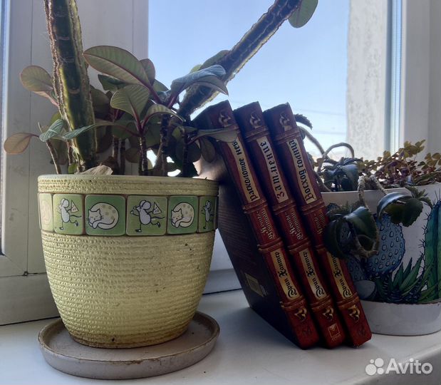 Книги серии коты воители