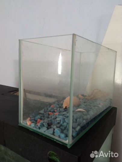 Аквариум