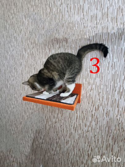 Когтеточки и игровые комплексы