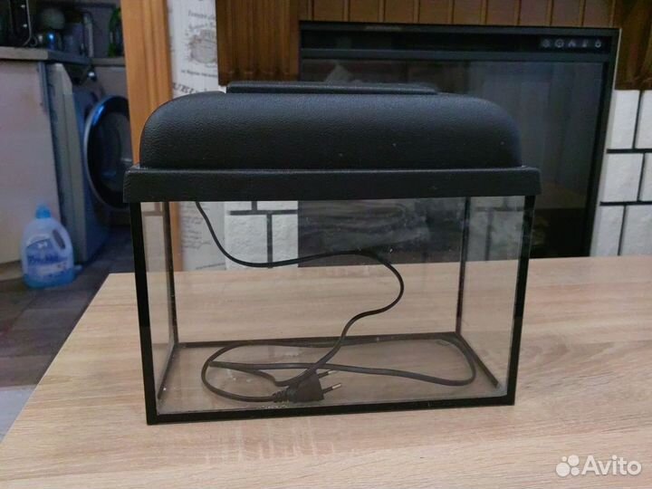 Аквариумные рыбки