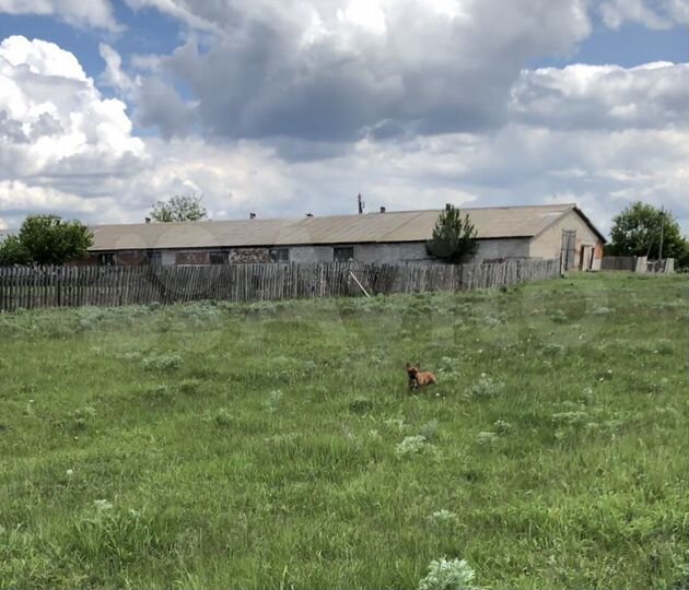 Участок 3 га (промназначения)