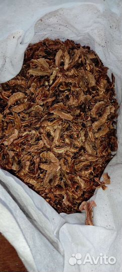 Перегородки грецких орехов