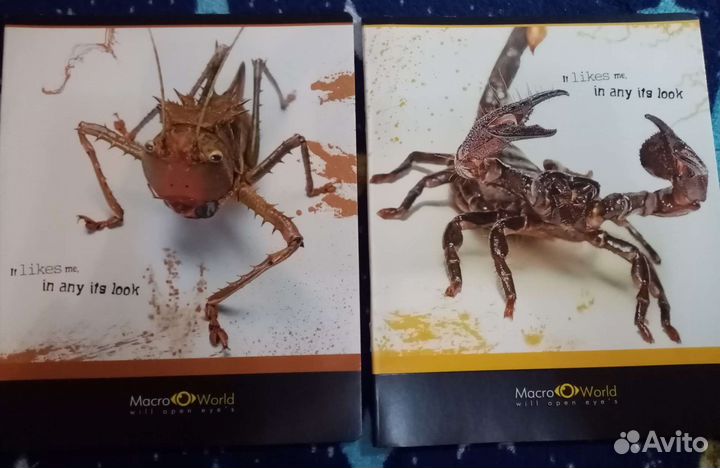 Тетради в линейку