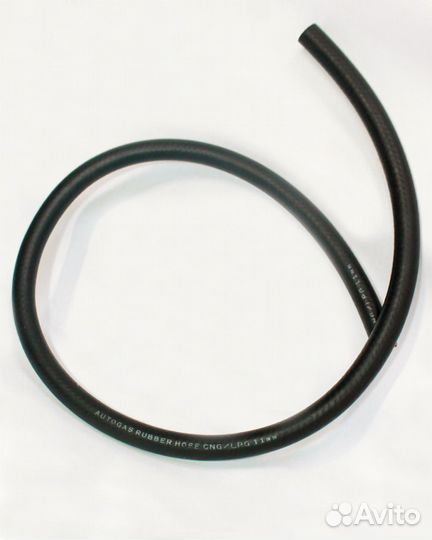 Шлонг для гбо