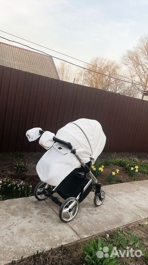 Коляска адамекс шанталь 2 в 1