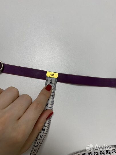 Evolution ошейник