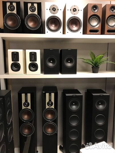 Акустика Monitor Audio Silver 100 орех 7G