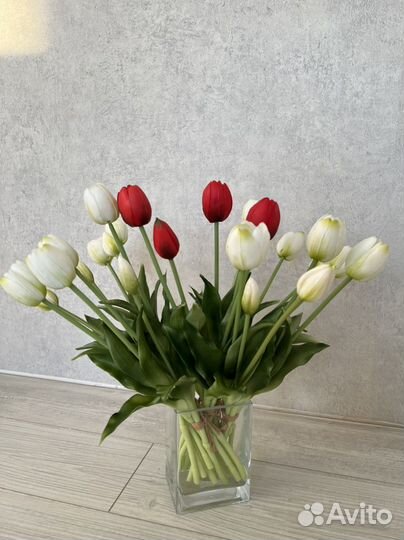 Новые тюльпаны силикон