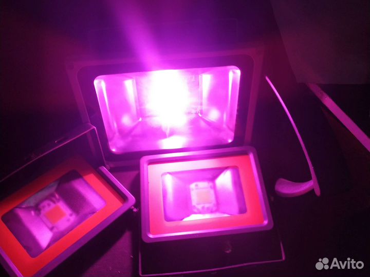 Фитолампа, фито светильник, для сажецев