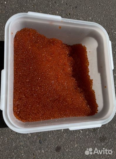 Красная икра кеты 2023г в наличии