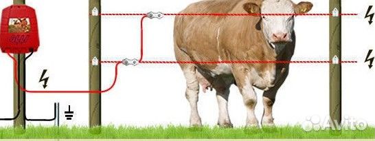 Эл.изгородь для коров,свиней,телят,кроликов,гусей