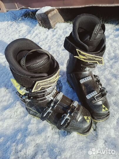 Горнолыжные ботинки fischer 24.5