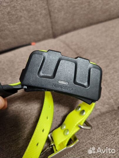 Ошейник Garmin DC50 (русский, лай работает)