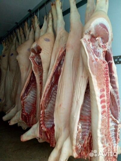Мясо свинина оптом
