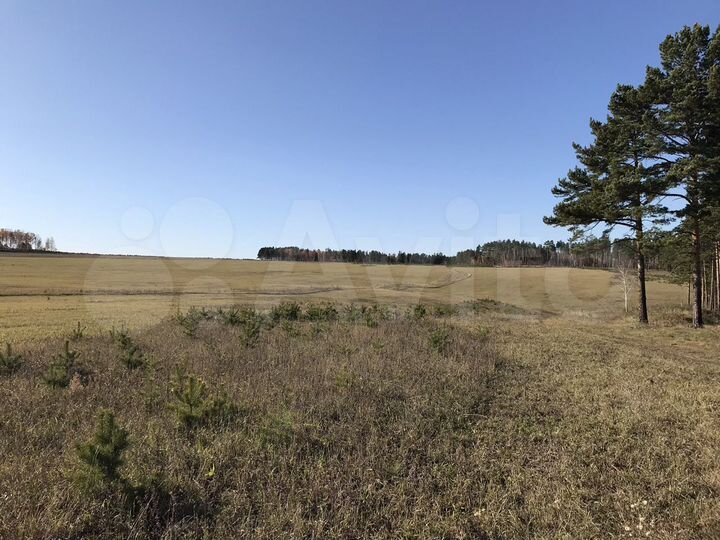 Участок 40 сот. (СНТ, ДНП)