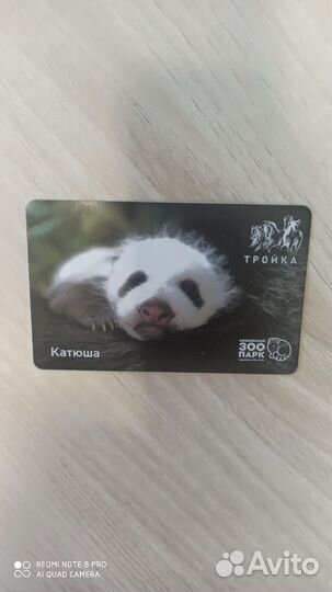 Коллекционная карта Тройка Панда Катюша