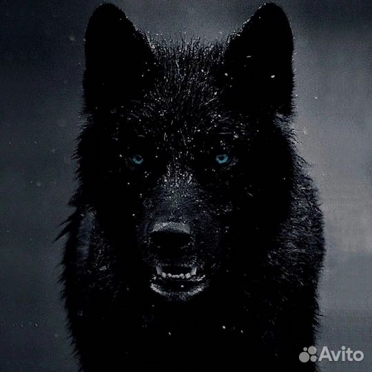 Пять рублей рублей