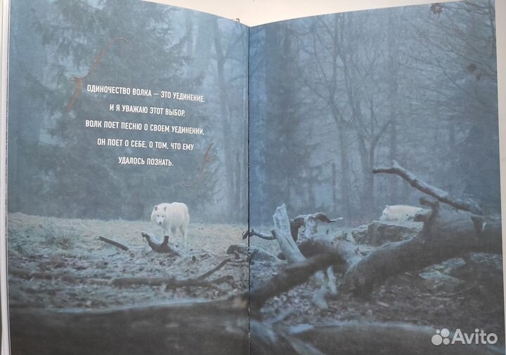 Свами Даши книга 