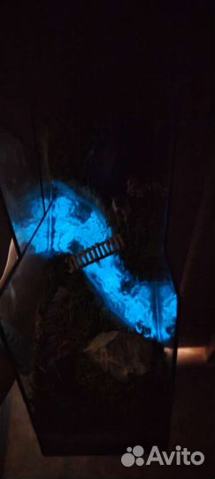 Моссариум горы. Декор