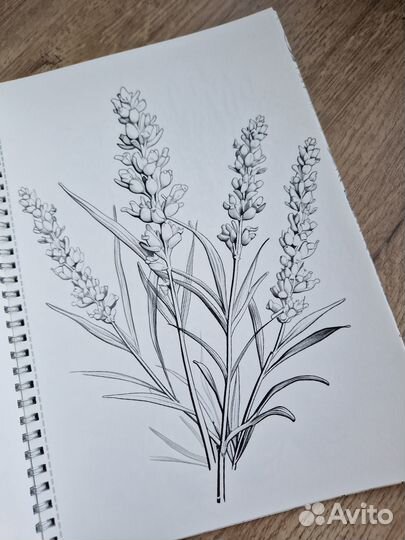 Раскраска анти стресс Растения