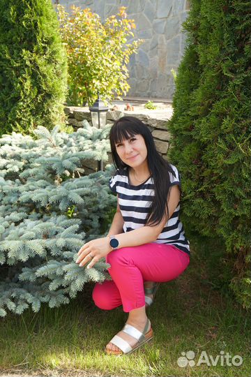 1с бухгалтерия