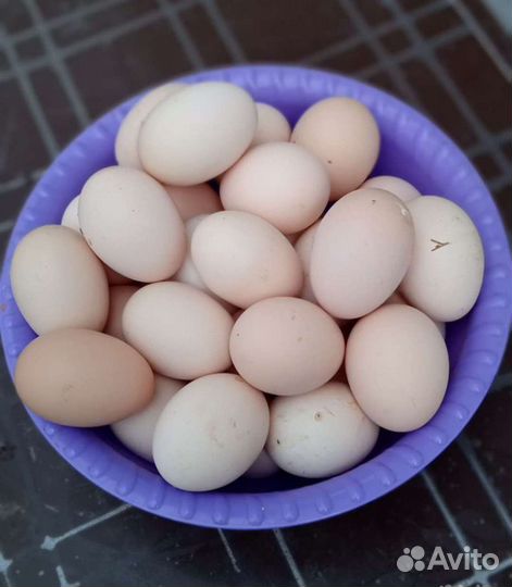Яйцо куриное